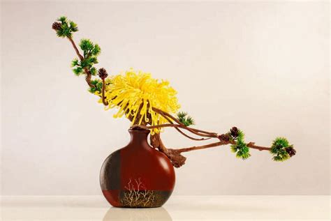 Shōka .